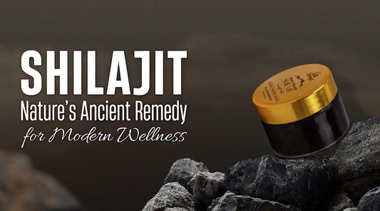 Shilajit: Nature’s Ancient Remedy for Modern Wellness